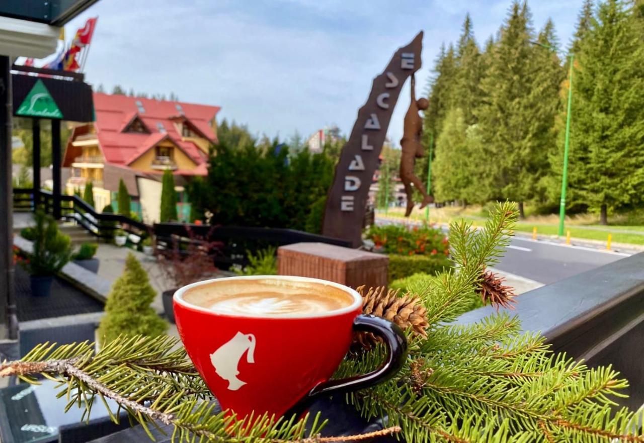 Hotel Escalade Poiana Brașov Zewnętrze zdjęcie